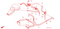 SOUPAPE D'ADMISSION pour Honda CBR 600 34HP de 1997