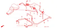 SOUPAPE D'ADMISSION pour Honda CBR 600 de 1998