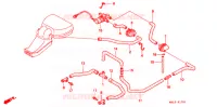 SOUPAPE D'ADMISSION pour Honda CBR 600 34HP de 1998