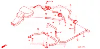 SOUPAPE D'ADMISSION pour Honda CBR 600 de 1998
