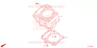 CYLINDRE pour Honda CRF 300 L de 2021