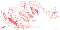 RADIATEUR   VASE D'EXPANSION pour Honda REBEL 1100 de 2021