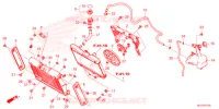 RADIATEUR   VASE D'EXPANSION pour Honda REBEL 1100 DCT de 2021