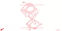 CYLINDRE pour Honda CRF 250 LOWER, 低い de 2022