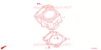 CYLINDRE pour Honda CRF 250 HIGHER, い de 2021