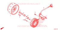 ALTERNATEUR pour Honda CB 300 R ABS de 2021