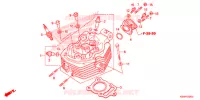 CULASSE pour Honda TMX 125 ALPHA de 2020