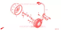 ALTERNATEUR pour Honda CRF 250 L de 2020