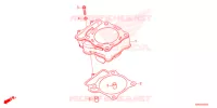 CYLINDRE pour Honda CRF 250 R de 2022