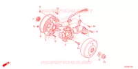 ALTERNATEUR pour Honda CRF 50 de 2022