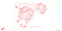 CULASSE pour Honda CRF 50 de 2022