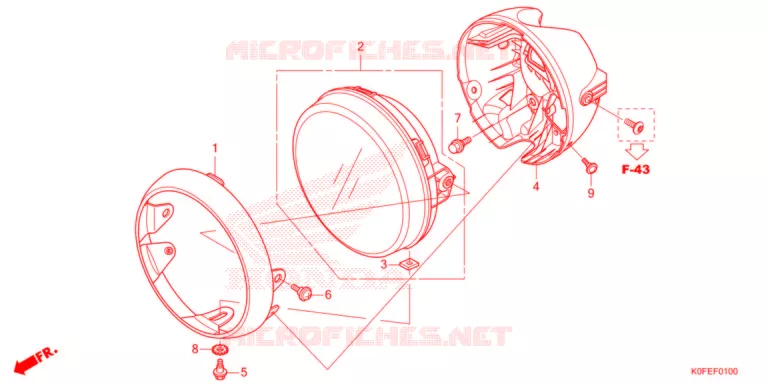 PHARE Honda MOTO 125 MONKEY 2024  Z125MAN