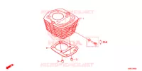 CYLINDRE pour Honda CRF 125 F BIG WHEELS de 2021