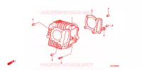 CYLINDRE pour Honda POP 100 3BR de 2011