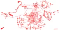 CULASSE pour Honda POP 110 de 2023