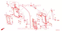 RADIATEUR pour Honda CRF 250 R de 2022