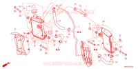 RADIATEUR pour Honda CRF 450 R de 2023