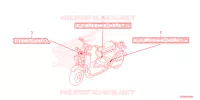 AUTOCOLLANTS pour Honda RUCKUS 50 de 2023