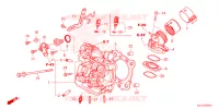 CULASSE pour Honda ADV 350 WITHOUT TOP CASE de 2023