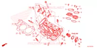 CULASSE pour Honda NT 1100 DCT de 2023