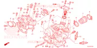CULASSE pour Honda PIONEER 700 M4 DELUXE de 2022