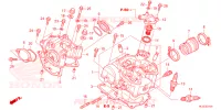 CULASSE pour Honda PIONEER 700 M4 DELUXE de 2022