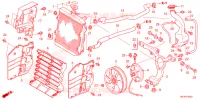 RADIATEUR pour Honda FOURTRAX 420 RANCHER 4X4 Manual Shift de 2023