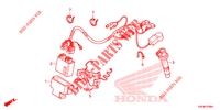 FAISCEAU DES FILS pour Honda CRF 150 R BIG WHEELS de 2012