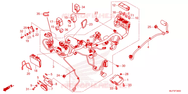 FAISCEAU DES FILS Honda MOTO 500 CL 2023  CL500AP