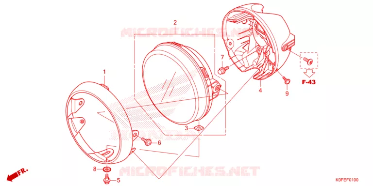 PHARE Honda MOTO 125 MONKEY 2022  Z125MAN
