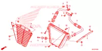 RADIATEUR D'HUILE pour Honda CBR 1000 RR de 2022