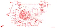 CULASSE pour Honda SUPER CUB 125 ABS de 2023
