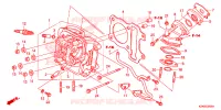 CULASSE pour Honda SCV 110 DIO, TYPE 7ID de 2019