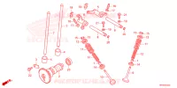ARBRE A CAMES   SOUPAPE pour Honda FOURTRAX 520 FOREMAN 4X4 EPS de 2022