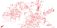 CULASSE pour Honda PIONEER 700 M2 DELUXE de 2023