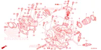 CULASSE pour Honda PIONEER 700 M2 FOREST de 2023
