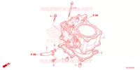 CYLINDRE pour Honda PIONEER 700 M2 FOREST de 2023