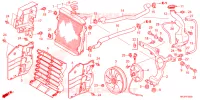 RADIATEUR pour Honda FOURTRAX 420 RANCHER 4X4 Manual Shift de 2023
