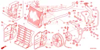 RADIATEUR pour Honda FOURTRAX 520 FOREMAN RUBICON DCT EPS DELUXE de 2023