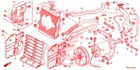 RADIATEUR pour Honda FOURTRAX 520 RUBICON IRS EPS de 2023
