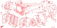 RADIATEUR pour Honda FOURTRAX 520 RUBICON DCT IRS EPS de 2023