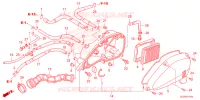 FILTRE A AIR pour Honda RUCKUS 50 de 2024