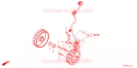 ALTERNATEUR pour Honda CRF 450 RWE de 2024