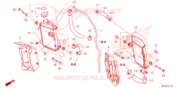 RADIATEUR pour Honda CRF 450 RWE de 2024