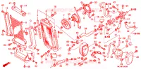 RADIATEUR pour Honda TALON 1000 R de 2023
