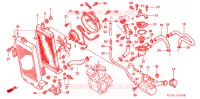 RADIATEUR pour Honda BLACK WIDOW 750 de 2001