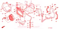 RADIATEUR pour Honda SH 125 de 2008
