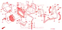 RADIATEUR pour Honda SH 125 de 2008