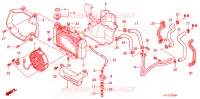 RADIATEUR pour Honda SH 125 S TOP CASE de 2008