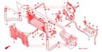 RADIATEUR pour Honda CBR 900 RR de 1995